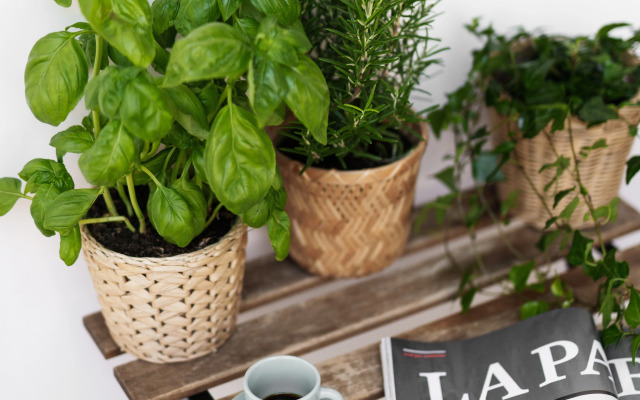 Гостевой дом It's Room Naples