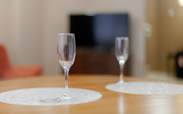 Апартаменты Пушкин Центр города