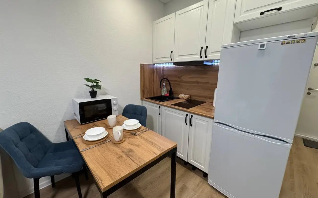 Studiya V Moskve Flat