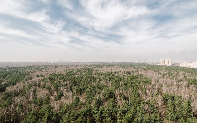 Odnokomnatnaya kvartira Flat
