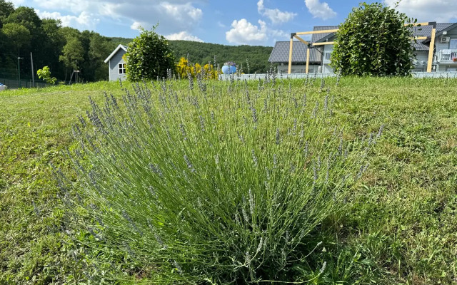 Гостевой дом Играем на высоте