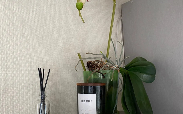 Апартаменты Посуточная Аренда