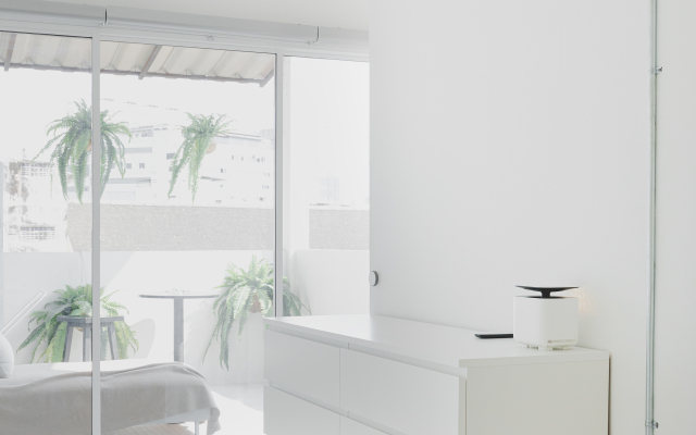 Modern Minimalism - Mandarin Palm Apartments