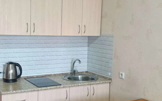 Квартира однокомнатная на Ивана Черных 66