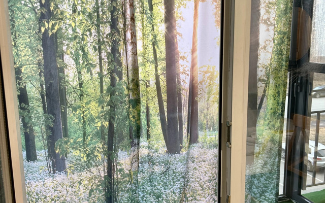 Квартира Студия с Панорамным Видом на Краснопольский Проспект