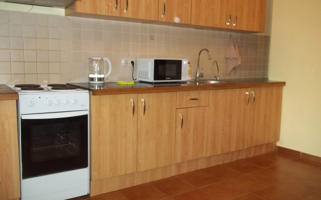 Bolshaya V Tsentre Goroda Flat