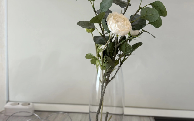 S Vidom Na Gory Sirius Flat