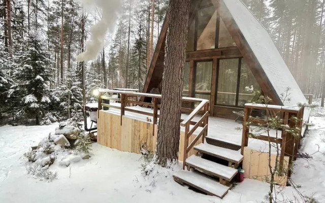 Частный дом Уютный дoм A-frame