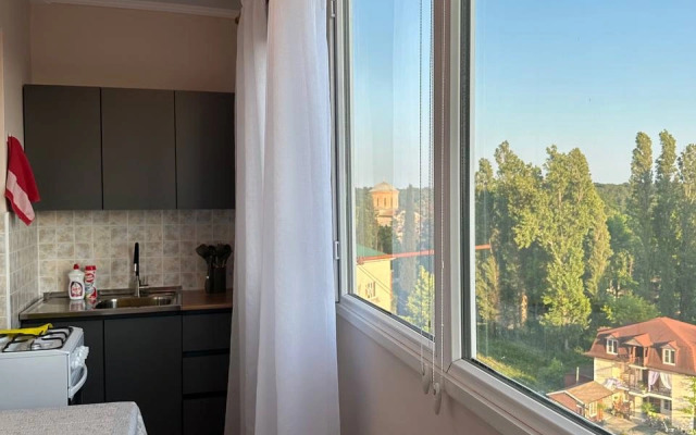 Uyutnaya Solnechnaya Kvartira Flat