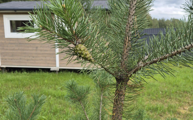 Частный дом Дубльдом у леса