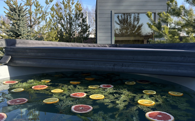 Частный дом Skandi Life