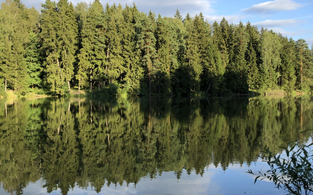 Частный Дом с Сауной от Sheluha House