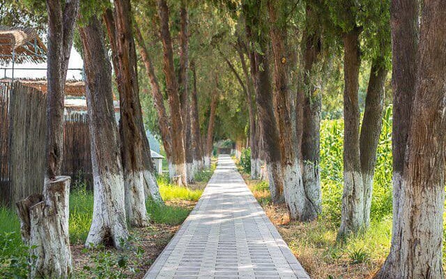 Курортный отель Usmon Ota