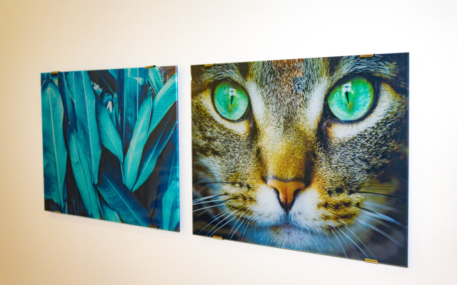 Апартаменты Studio Crocus 4 на Ильинском 2А