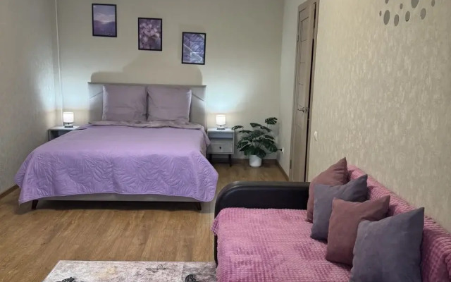 Stilnaya V Elitnom Dome Flat