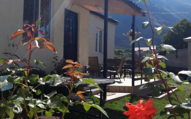 Elguja Qushashvili Guest house