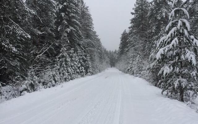 Частный дом Home in Baynevo