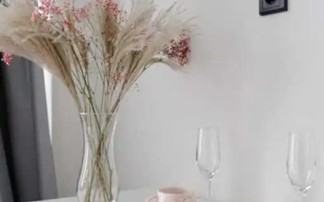 Uyutnye 1 Komnatnye Apartments 2