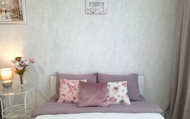 Квартира "Билет в Париж" рядом с парком Галицкого. Сеть Мята