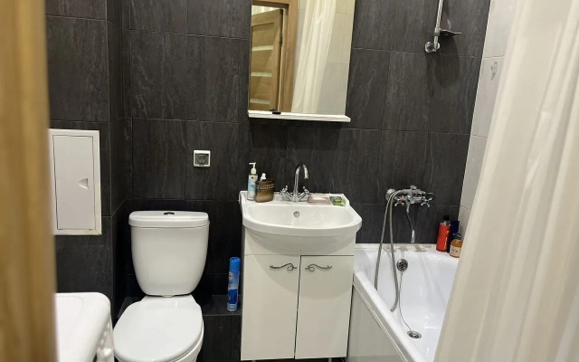Na Bulvare Guseva 46 4 Flat