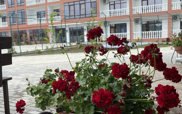 Briz 55 Guest house