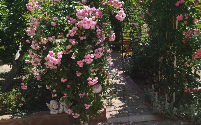 Elena Guest House
