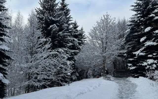 Woodland Recreation camp