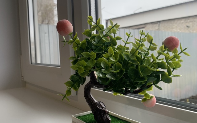 Отель ПолПути