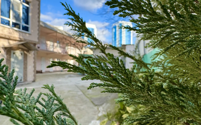 Guest House Semeyny Ostrov