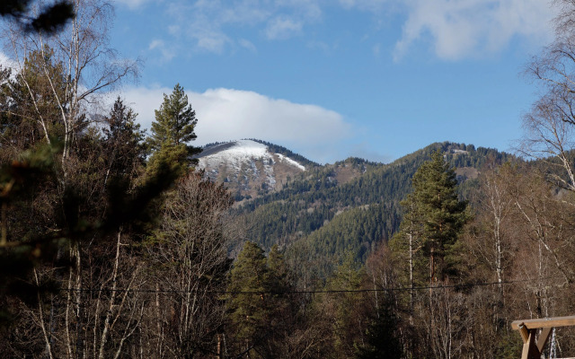 Гостевые дома Шишка
