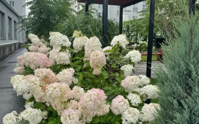 Квартира на улице Степана Разина 95