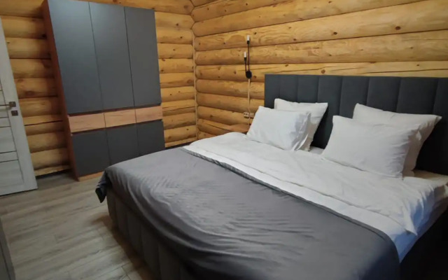 Частный дом в поселке Разливы-1