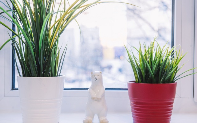 Апартаменты Белый Медведь на Книповича 63