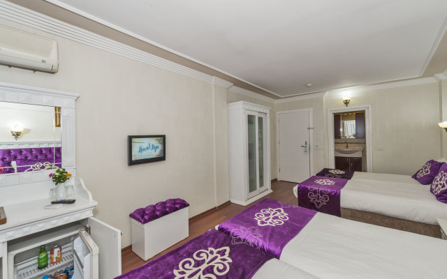 Отель Istanbul Holiday Hotel