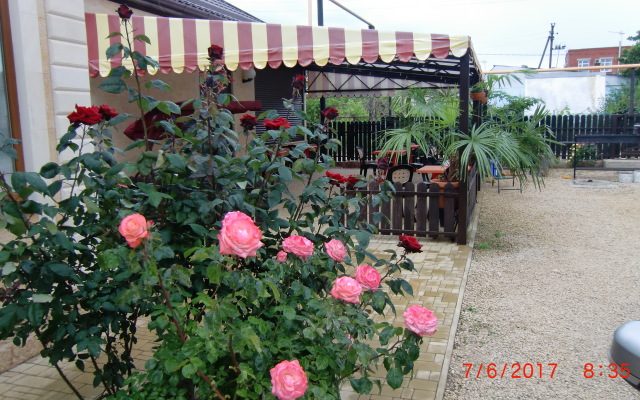 Yakor Guest House