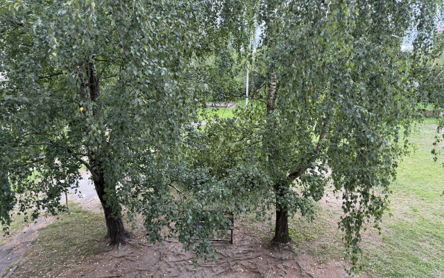 Svetlaya I Uyutnaya V Tsentre Guryevska Flat