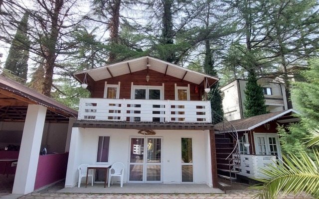 Eco House Pitiunt Resort Hotel