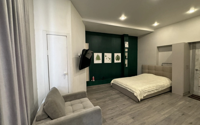 Studiya v tsentre goroda Flat
