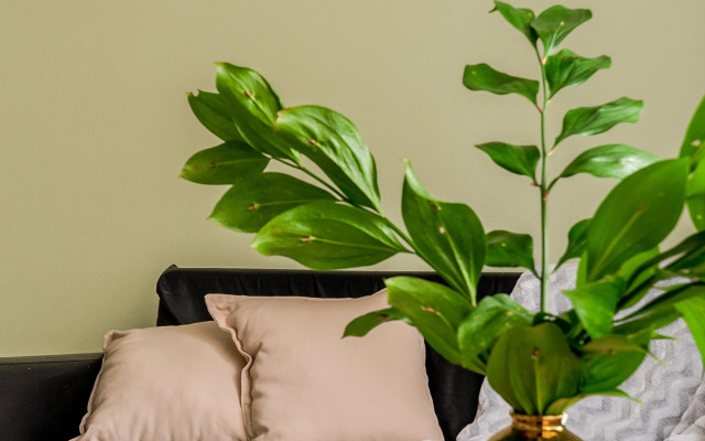 Апартаменты 1 Комнатные Возле Метро Нарвская