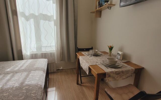 Квартира - студия в иcтoричeскoм цeнтре Санкт-Пeтеpбургa (1)