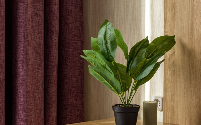 Апартаменты Студия Natalie Apartments Пулковское шоссе 14с6