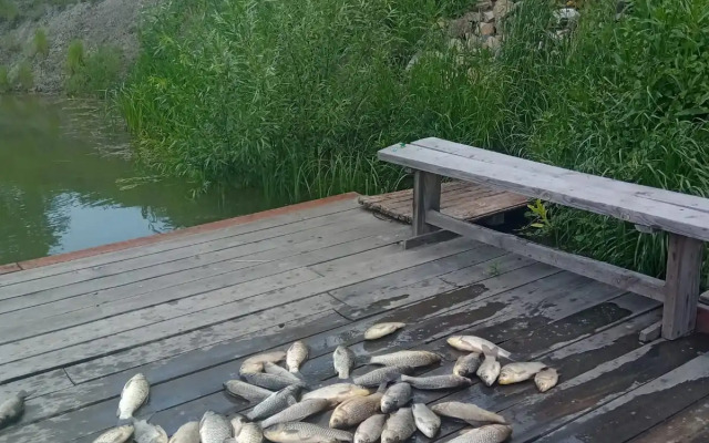 Частный дом Коттедж Малиновый рай