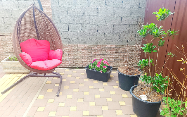 Guest house Alexandriya