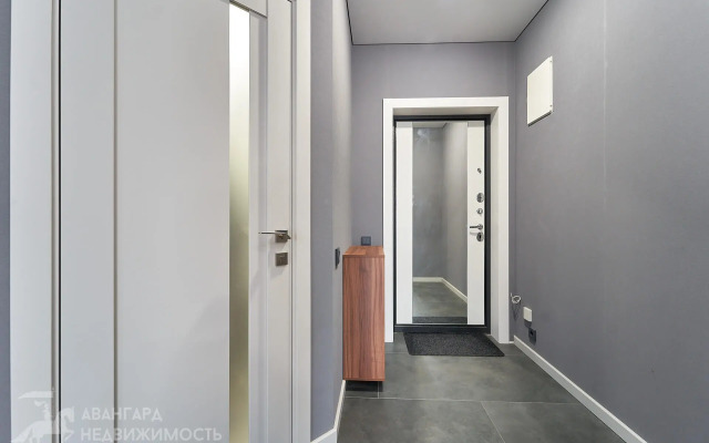 Uyutnaya V Tsentre Minsk Mira Flat