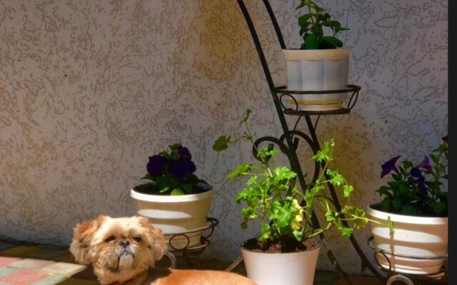 Гостевой дом на Евпаторийском шоссе