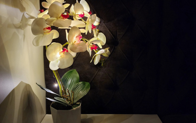 Квартира Уютная Светлая и Тёплая Студия