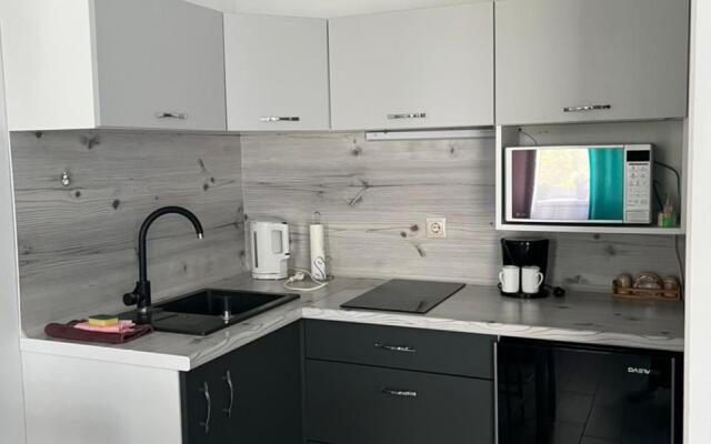 Baltiyskiy Veter Apartments