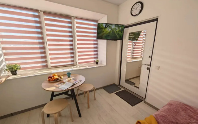 Studiya Po Tukhachevskogo 49/2-23 Flat