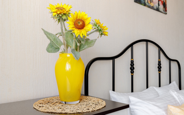 Апартаменты на улице Коммунаров 270