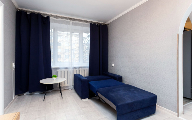 V Tsentre Goroda Flat
